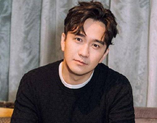 比较清白的男明星,盘点娱乐圈口碑极佳的男明星