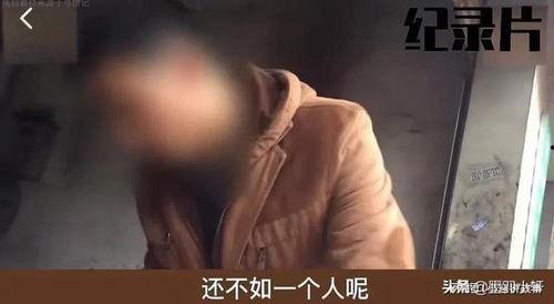 老婆怀孕5个杀死老公,悲剧背后的家庭悲剧